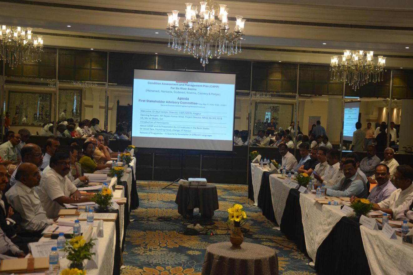 Image from Stakeholder Advisory Committee
